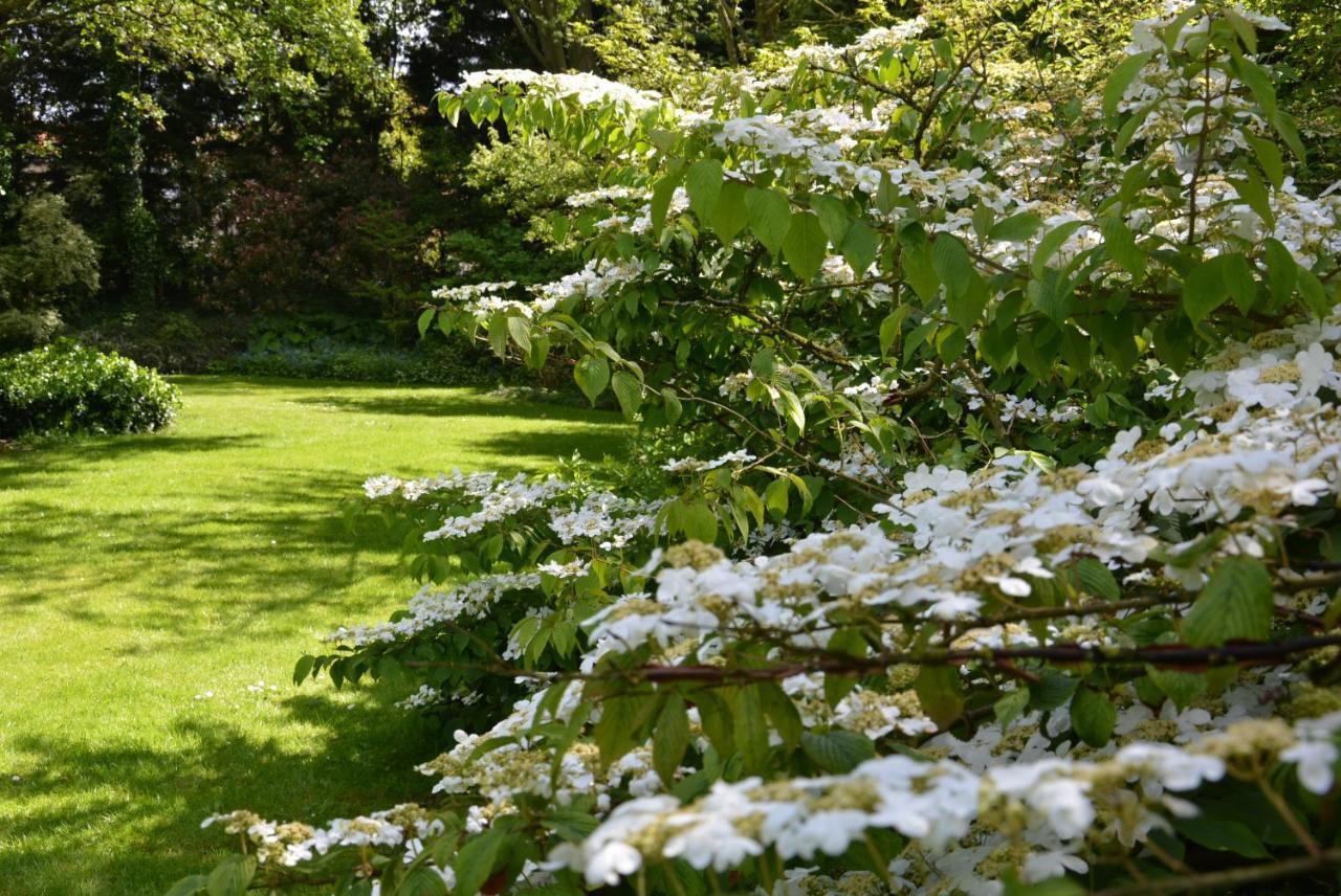 HoymilleLes Jardins住宿加早餐旅馆 外观 照片